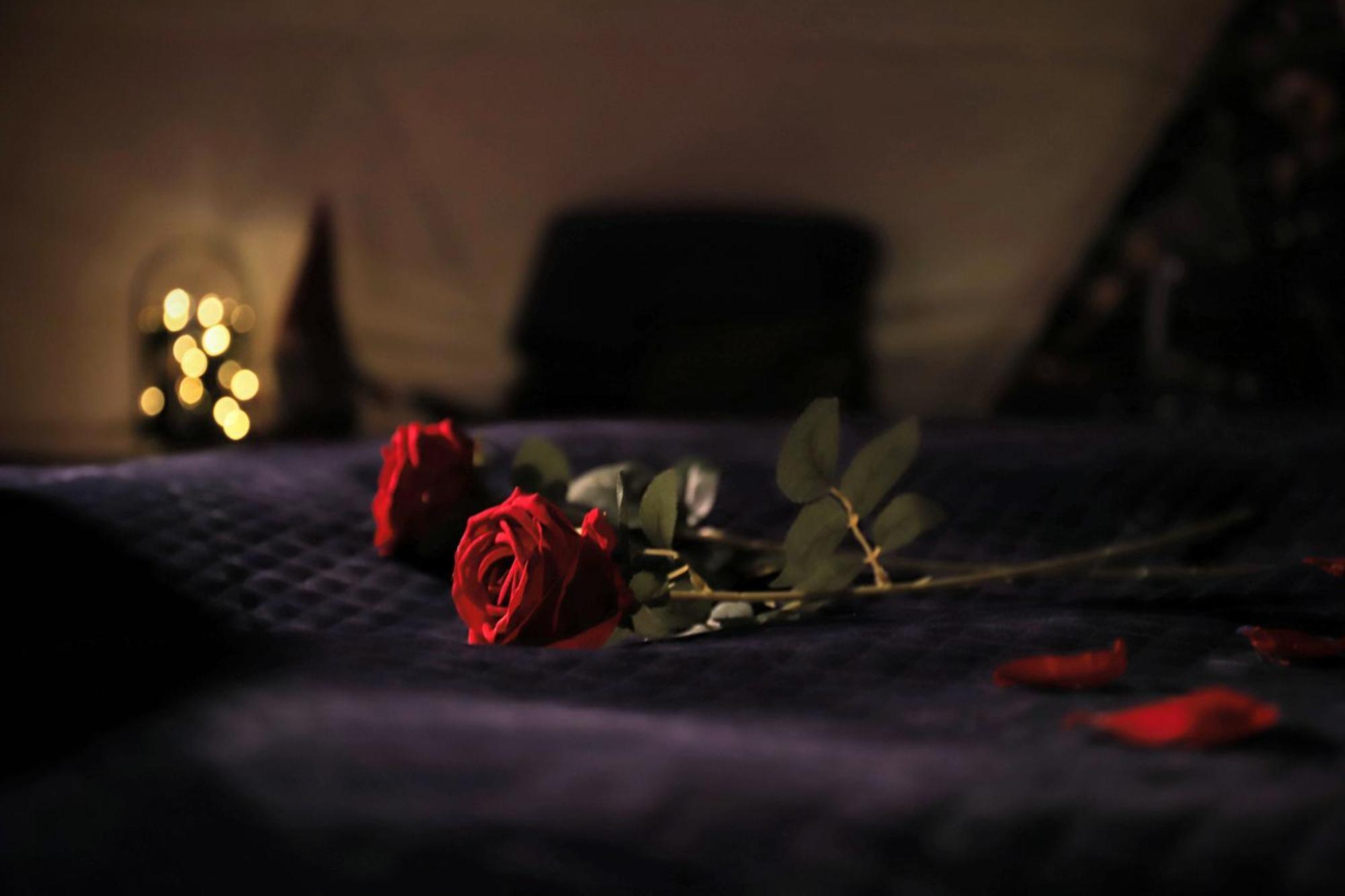 Olden Glamping - One With Nature سترين المظهر الخارجي الصورة